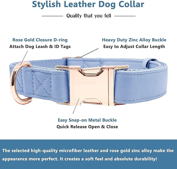 Soft Leather Dog Collar and Leash (6.6') Set - Stylish Rose Gold Heavy Duty Metal Buckle, 4 Adjustable Lengths Leash for Small Medium Large Dogs - Comfortable & Easy to Clean Blue Purple XS(8"-12")
