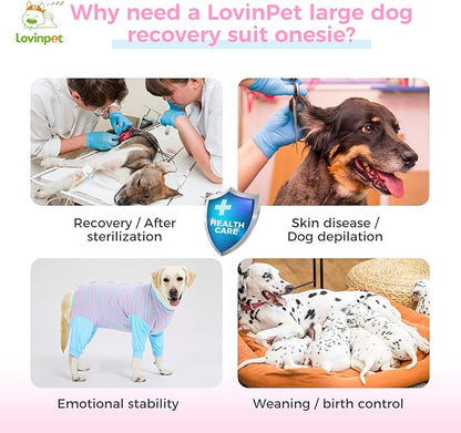 LovinPet Dog Recovery Suit - Medium Large - After Surgery Dog Recovery Suit Anti Licking Abdominal Wound Surgical Clothes Post-Operative Vest E-Collar Alternative Recovery Shirt,Blue,3XL