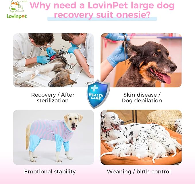 LovinPet Dog Recovery Suit - Medium Large - After Surgery Big Dog Recovery Suit Anti Licking Abdominal Wound Surgical Clothes Post-Operative Vest E-Collar Alternative Recovery Shirt,Blue,L