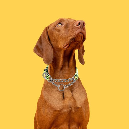 Martingale Collar with Chain,Training Dog Collar, Limited Cinch Chain Pet Gear for No Pull Dog Walking for boy Girl Medium Breeds and Small Pets