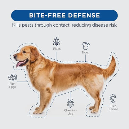 FirstAct Plus Flea Treatment for Dogs, Medium Dogs 23-44 lbs, 3 Doses, Same Active Ingredients as Frontline Plus Flea and Tick Prevention for Dogs