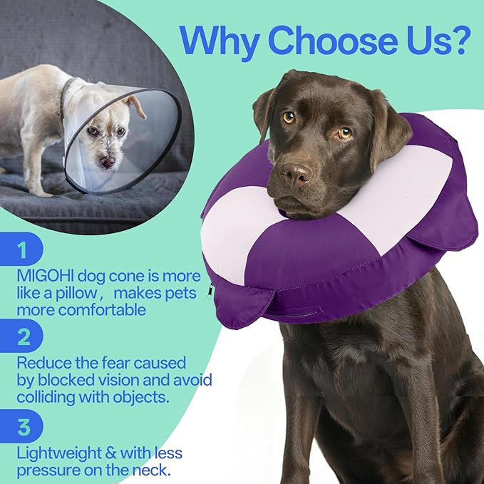 MIGOHI Soft Dog Pillow Donut Collar - Inflatable Alternative to Plastic Cone After Surgery,Adjustable Recovery E-Collar for Medium Dogs, Prevents Licking, Post-Surgical Spay Care(Large, Purple)