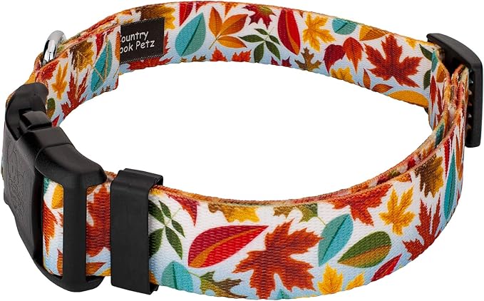 Country Brook Petz - Brisk Autumn Everyday Dog Collar and Leash - Awesome Autumn Collection Featuring Designs You Will Fall for (1 Inch, Extra Large)