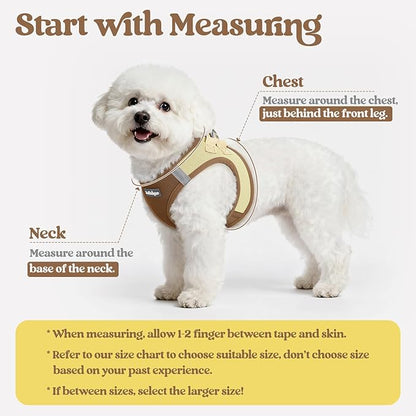 rabbitgoo Dog Harness Small Medium Sized and Leash Set, Step in Soft Light Puppy Vest, Breathable Mesh Pet Harness, Reflective for Safe Easy Walking, Brown & Beige L