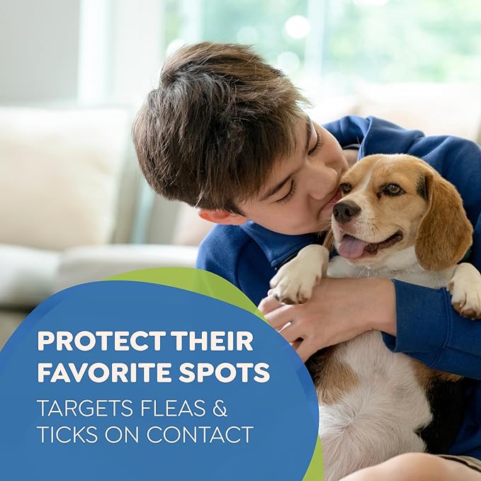 Riddy Flea & Tick Natural Spray for Pets with Essential Oils Safe Non-Hazardous Indoor and Outdoor Control, 8 oz, 2 Packs