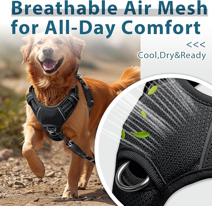 BARKBAY Dog Harness No Pull with ID Tag Pocket - Heavy Duty, Reflective, Easy Control for Large Dogs(Black,M)