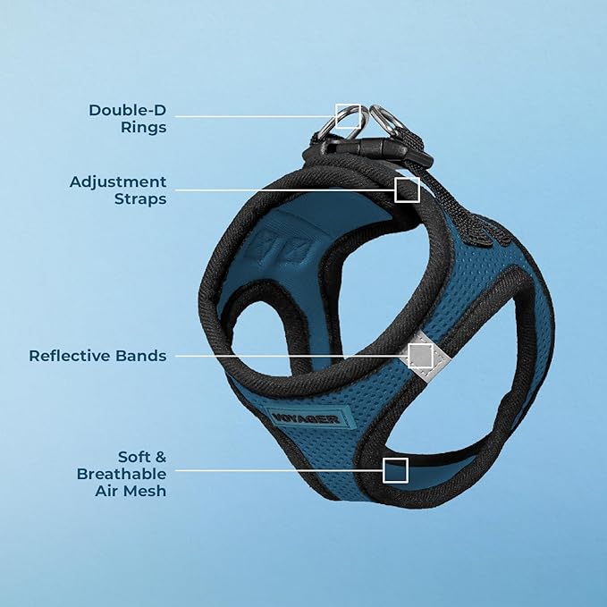 Best Pet Supplies Voyager Step-in Air Harness - All Weather Mesh, Reflective, No Pull Harness for Dogs, Cats - Secure with Hook & Loop Fastener, Buckle, Double D-Rings - Blue/Black Trim, M