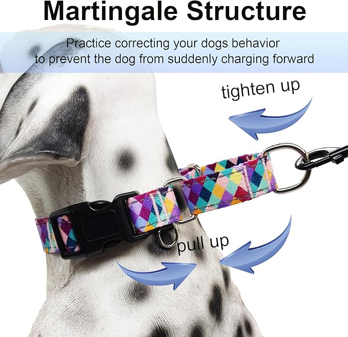 Reflective Martingale Collar for Dogs with Quick Release Buckle No Pull Training Dog Collars (Colorful Geometric, Large)