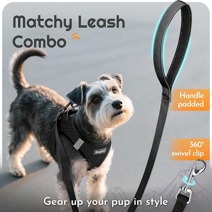 Eagloo Small Dog Harness and Leash Set, Step in Puppy Vest with Breathable Soft Mesh, Walking Reflective Pet Harness for Medium Small Dogs, Black, L