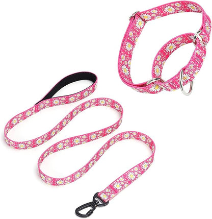 Hot Pink Martingale Dog Collar and Leash Set for Female Dogs, Cute Daisy Pattern Girl Dog Collar, Adjustable Soft Durable Pet Collar with 5ft Matching Leash for Small Medium Large Dogs