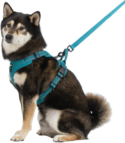 Voyager Dog Harness Dual Leash Attachment No-Pull Control Adjustable Soft but Strong Pet Harness for Medium and Large Dogs with 3M Reflective Technology, Turquoise Nylon, S (Chest: 16-20")