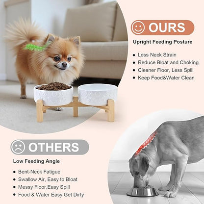 SPUNKYJUNKY Elevated Dog Bowls Ceramic, 5.1'' Dogs and Cat Food Water Bowls Raised with Non-Slip Bamboo Stand for Puppy Small Sized Breed Microwave Dishwasher Safe - 13.5 OZ,Skull White
