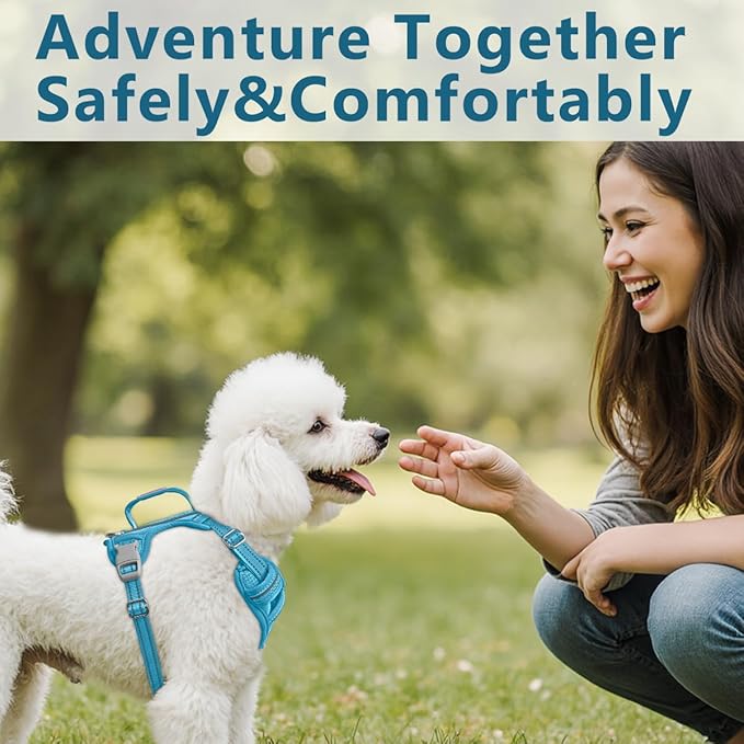 BARKBAY Dog Harness No Pull with ID Tag Pocket - Heavy Duty, Reflective, Easy Control for Large Dogs(Ocean Blue,XS)