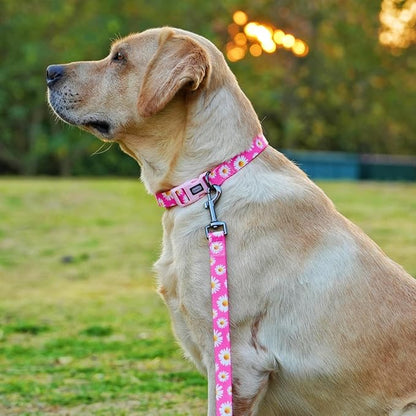 Dog Collar and Leash Set, Cute Pink Daisy Pattern, Polyester Material, 5ft Leash, for Puppy Dogs.(XS, Daisy Set)