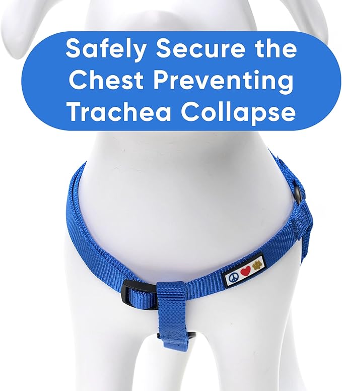 Pawtitas Solid Step-in Dog Harness – Adjustable No-Pull Vest for Puppies to Seniors, Safe & Comfortable M Blue