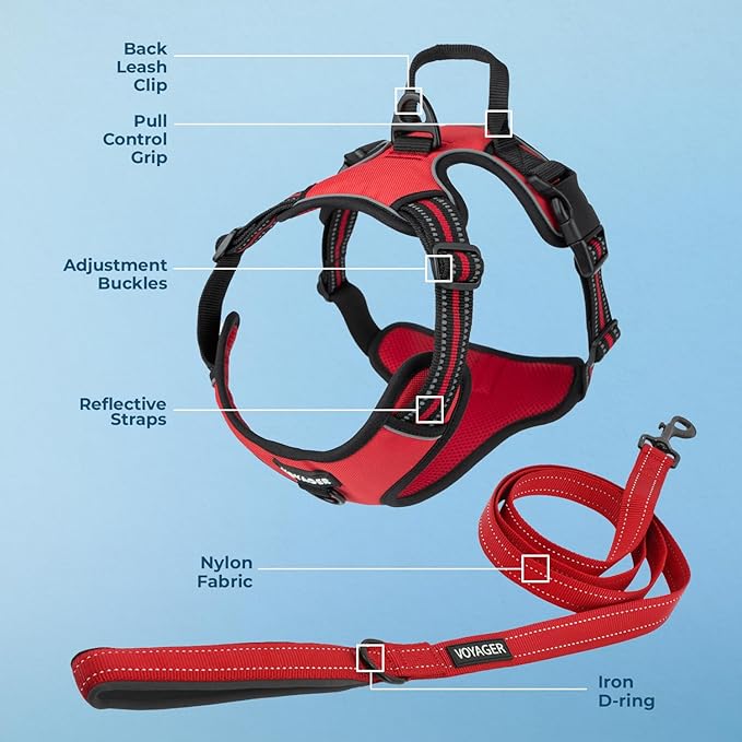 Voyager Dog Harness Dual Leash Attachment No-Pull Control Adjustable Soft but Strong Pet Harness for Medium and Large Dogs with 3M Reflective Technology, Leash Set Red Nylon, L (Chest: 25-30")
