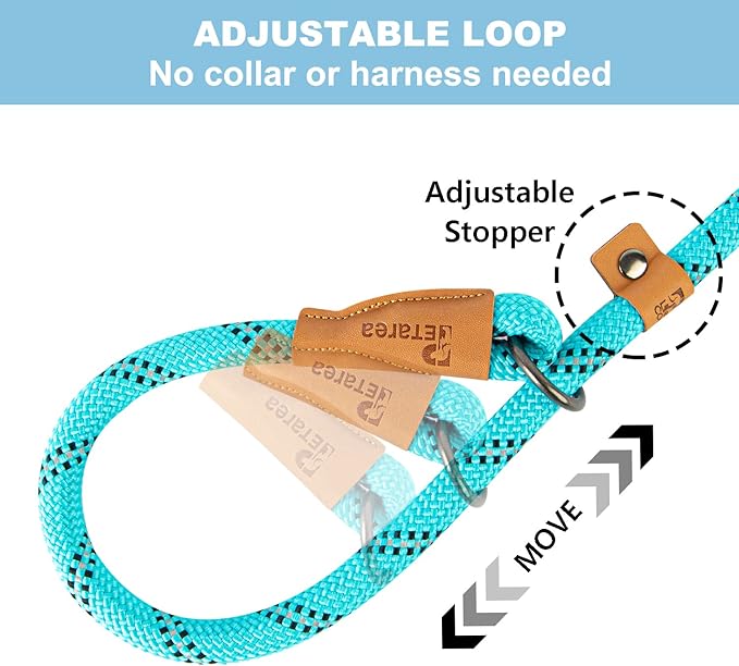 5 FT Slip Lead Dog Leash, Heavy Duty Rope Leash for Small Medium Large Dogs, No Pull Training Lead with Reflective Thread, Strong Comfortable Loop Leash (Teal Stripe, Medium(3/8"))
