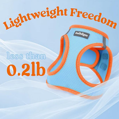 rabbitgoo Dog Harness Small Sized and Leash Set, Step-in Breathable Pet Harness, Soft Walking Reflective Puppy Vest for Small Dogs, Light Blue & Orange, XS