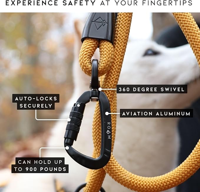 MADE TO ROAM Premium Explorer Leash - Climbing Rope Leash with Autolocking Aviation Aluminum Carabiner - Washington Rain, 6ft