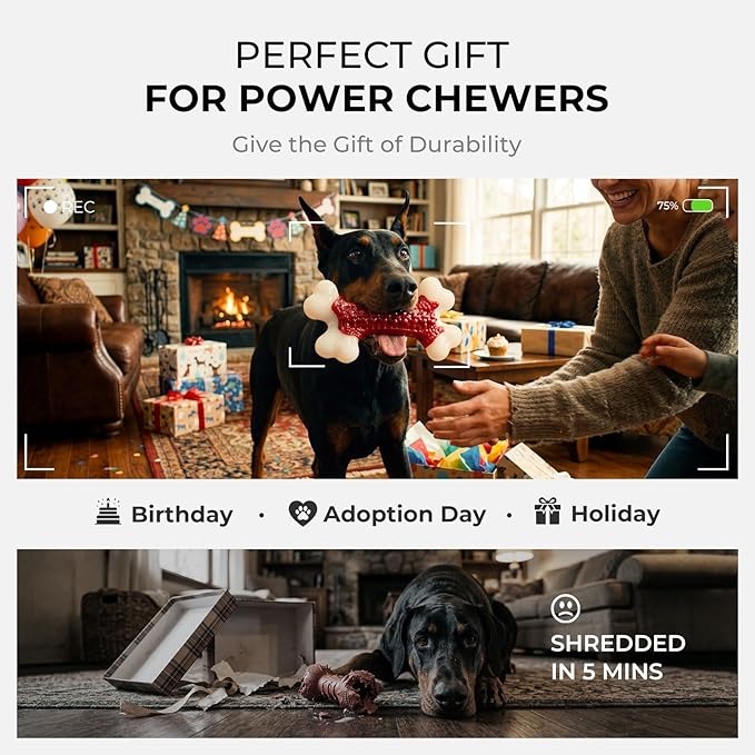 Kseroo Indestructible Dog Toys for Aggressive Chewers: Beef Flavored Hard Nylon Bone Chew Toys, Tough Dog Chew Toys for Large Dogs, Dog Toys to Keep Them Busy for Medium Large Breed (20-80 lbs), Red