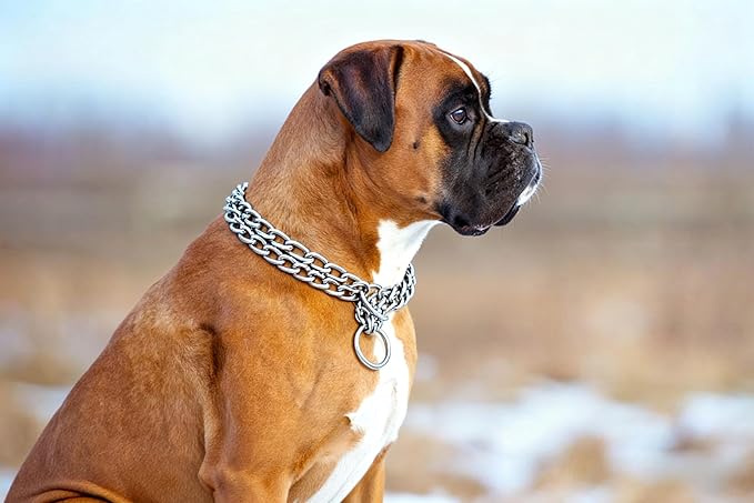 Silver Dog Choke Chain, Double Row Martingale Chain Dog Collars, Chew Proof Metal Cuban Link Slip Collar Adjustable for Small Medium Large Breed Dogs (2 Row, S)
