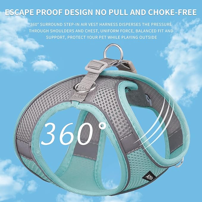 AIITLE Small Harness for Puppy with A Leash - Dog Vest Harness with Super Breathable Mesh, Reflective No-Pull Pet Harness for Outdoor Walking, Running for Small Dogs, Cats Turquoise XXS