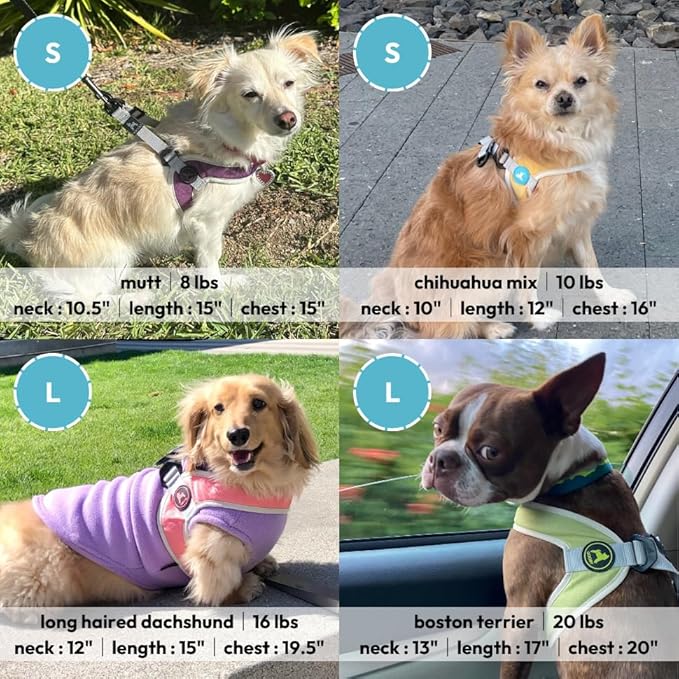 Gooby Simple Step in III Harness - Pink, X-Small - Small Dog Harness with Scratch Resistant Outer Vest - Soft Inner Mesh Harness for Small, Medium Dogs