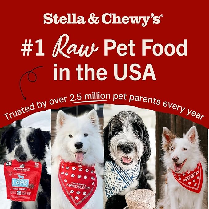 Stella & Chewy's Freeze-Dried Raw Tantalizing Turkey Meal Mixers- Dog Food Topper and Mixer - Made with 95% Cage-Free Turkey, Organs & Bone - Perfect for Picky Eaters - Grain-Free - 35 oz (Pack of 2)
