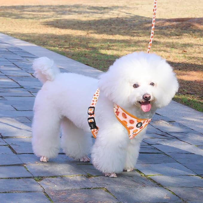 Dog Cat Harness and Leash Set, Puppia Soft Mesh Padded and Adjustable Puppy Vest Cute Dog Clothes Escape Proof Easy Walk Pet Accessories (Grapefruit, XS (Neck 9"-11"; Chest 11"-13"))
