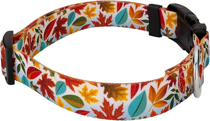 Country Brook Petz - Brisk Autumn Everyday Dog Collar and Leash - Awesome Autumn Collection Featuring Designs You Will Fall for (1 Inch, Large)