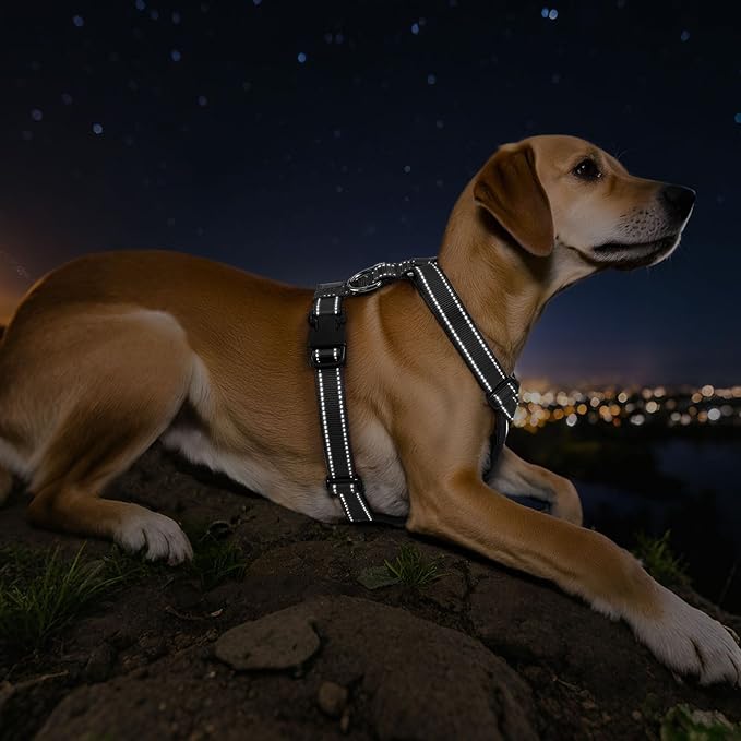 VavoPaw Dog Seat Belt Harness for Car, Dog Car Harness Adjustable Mesh Breathable & Dogs Seatbelt Safety Tether with Elastic Bungee for Small Medium Large Pets(Carbon Black, L)