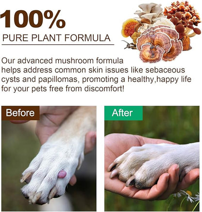 Mushroom Supplement for Dogs & Cats with Turkey Tail - Lipoma for Cats, 11 Blend Wild Mushroom Complex, Immune Support & Digestive Health for Pets - Enhances Liver Function