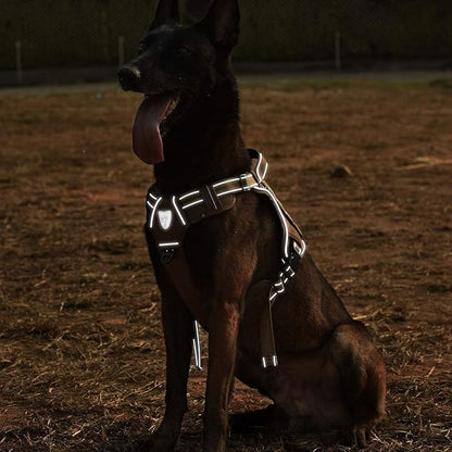 CBBPET Tactical Dog Harness for Small Medium Large Dogs No Pull Adjustable Harness Training Easy Control Pet Vest,Reflective Working Training (L(Neck 20-30, Chest 22-41))