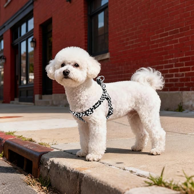PUPTECK No Pull Dog Harness Soft Adjustable Basic Nylon Step in Puppy Vest Outdoor Walking with ID Tag, Checkered Black&White, M