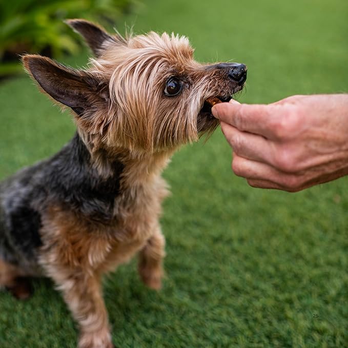 Loving Pets Soft Jerky Dog Treats – Real USA-Sourced Meat Dog Snacks for Training, Puppies & Everyday Reward – Soft, Chewy Dog Treats for Small, Medium & Large Dogs – Wheat & Corn Free