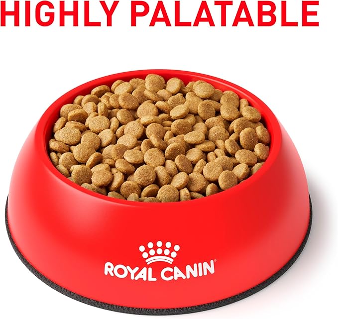 Royal Canin Veterinary Diet Canine Small Urinary SO Adult Dry Dog Food, 8.8 lb Bag