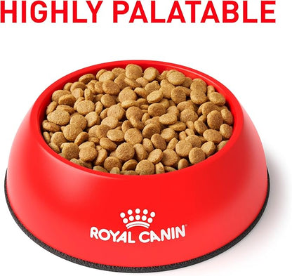 Royal Canin Veterinary Diet Canine Small Urinary SO Adult Dry Dog Food, 8.8 lb Bag