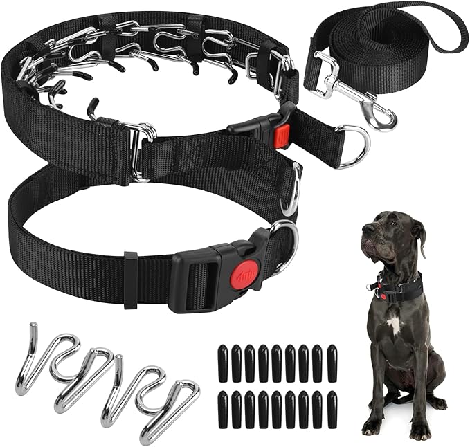 Prong Training Collar with Comfort Tips and Quick Release Snap Buckle - Dog Choke Pinch Collar with Nylon Cover