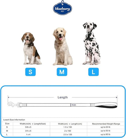 Blueberry Pet 3M Reflective Pastel Color Dog Leash with Soft & Comfortable Handle, 5 ft x 3/4", Violet, Medium, Leashes for Dogs