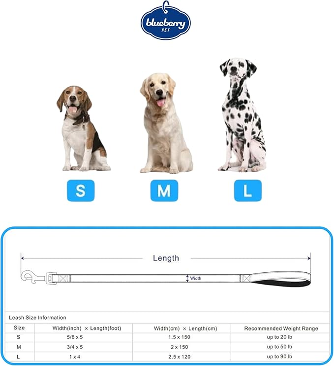 Blueberry Pet 3M Reflective Pastel Color Dog Leash with Soft & Comfortable Handle, 4 ft x 1", Red, Large, Leashes for Dogs