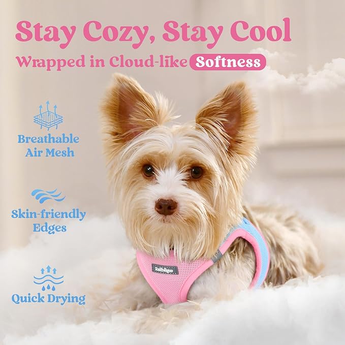 rabbitgoo Small Dog Harness, Step-in Soft Mesh Puppy Vest with Safety Buckle, Breathable Reflective Pet Harness for Small Medium Dogs, Blue & Light Pink XL