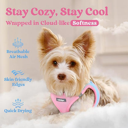 rabbitgoo Small Dog Harness, Step-in Soft Mesh Puppy Vest with Safety Buckle, Breathable Reflective Pet Harness for Large Dogs, Blue & Light Pink XXL