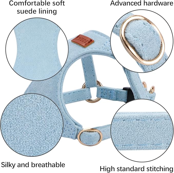 No Pull Dog Harness- Lightweight, Soft, Adjustable Small Harness Collar and Leash Set, Suitable for Cats Puppy Small and Medium-Sized Dog Outdoor Training and Running (Blue, XXS)
