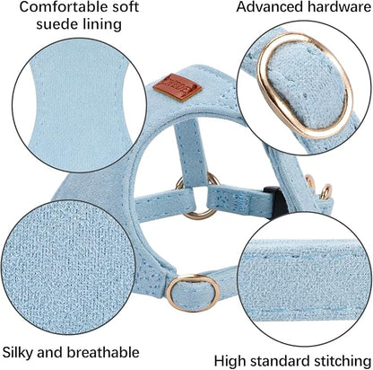 No Pull Dog Harness- Lightweight, Soft, Adjustable Small Harness Collar and Leash Set, Suitable for Cats Puppy Small and Medium-Sized Dog Outdoor Training and Running (Blue, M)