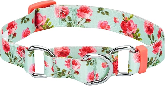 Blueberry Pet Spring Scent Inspired Rose Print Martingale Safety Training Dog Collar, Turquoise, Large, Heavy Duty Adjustable Collars for Dogs