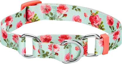 Blueberry Pet Spring Scent Inspired Rose Print Martingale Safety Training Dog Collar, Turquoise, Medium, Heavy Duty Adjustable Collars for Dogs