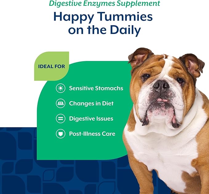 NaturVet – Digestive Enzymes - Plus Probiotics & Prebiotics – Helps Support Diet Change & A Healthy Digestive Tract – for Dogs (Soft Chews, 70 Count)
