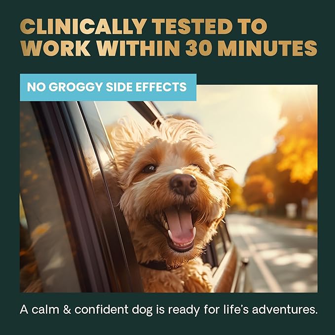 VetriScience Calm & Confident Chews, Composure Clinically Tested Calming and Anxiety Supplement for Small Dogs Under 30 lbs, Reduce Stress, Ideal for Thunderstorms and Fireworks, Chicken, 30 Count