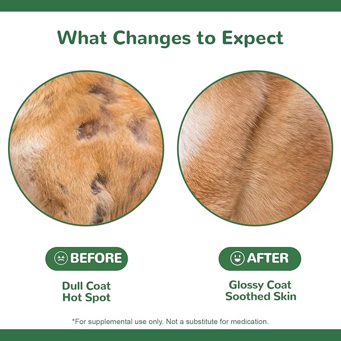 Dog Allergy Relief Chews, Dog Itch Relief Chews for Large Dogs Paw Licking Itchy Skin, Probiotics with Astragalus Omega-3 for Seasonal Allergies Coat Immune Supplement-300ct