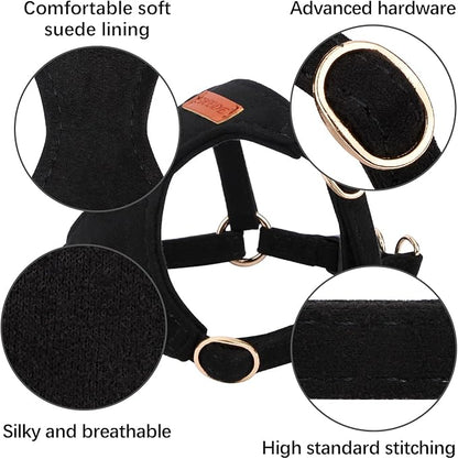 CHEDE No Pull Puppy Harness and Multifunction Dog Leash Set- 8 Colors Soft Adjustable No Choke Escape Proof Cute,Lightweight Pet Vest Harness for Small and Medium Dog (M, Black)
